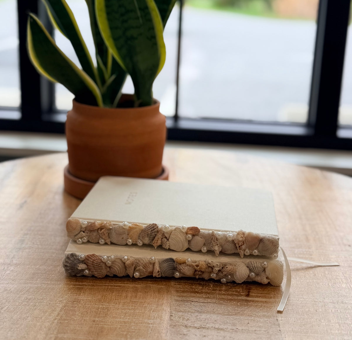 Shell Notebook