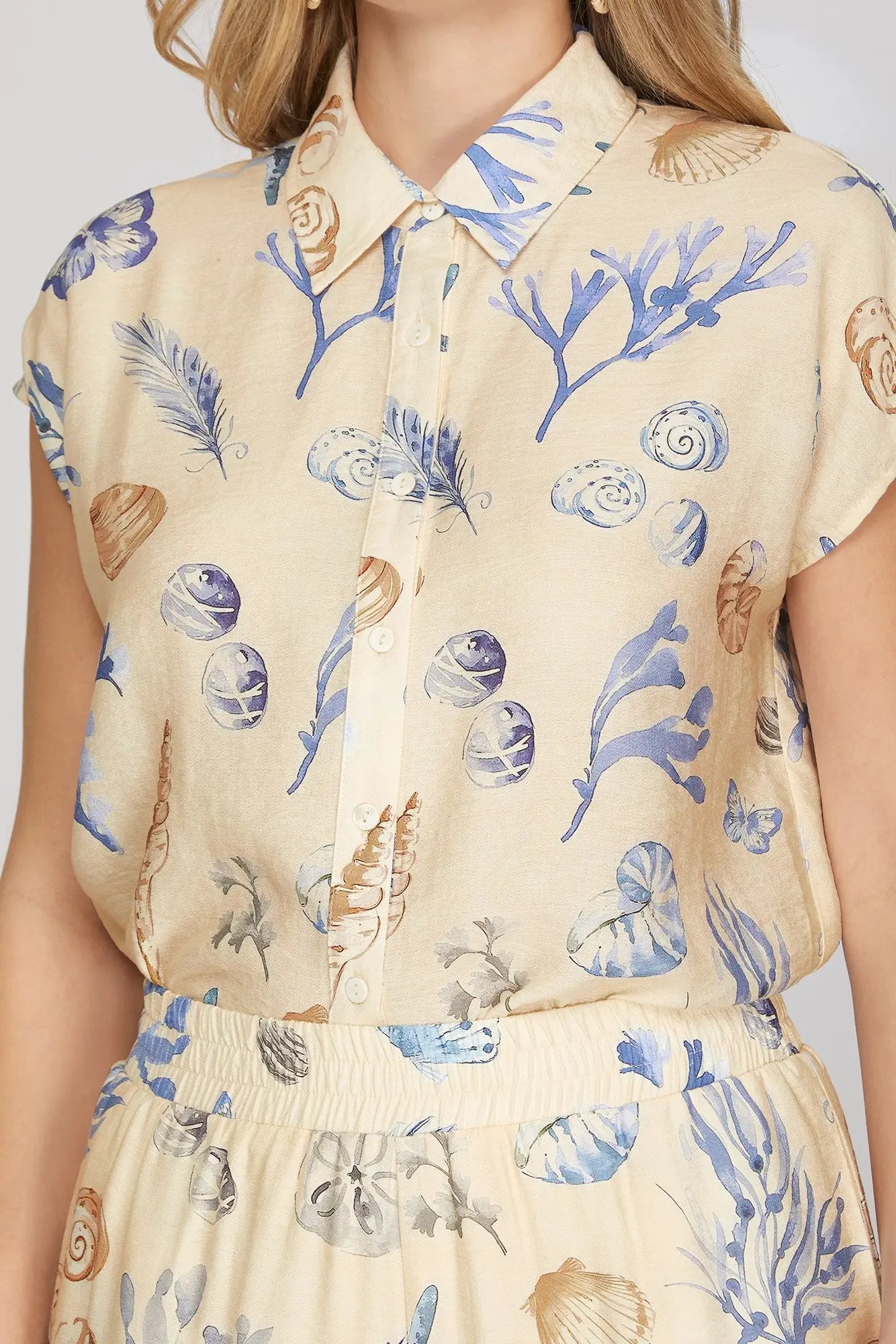 Seashell Set