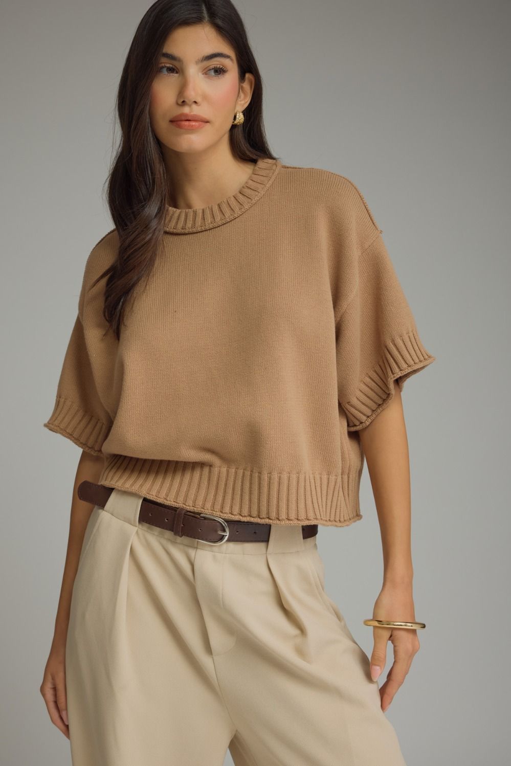 Brown Short Sleeve Sweater