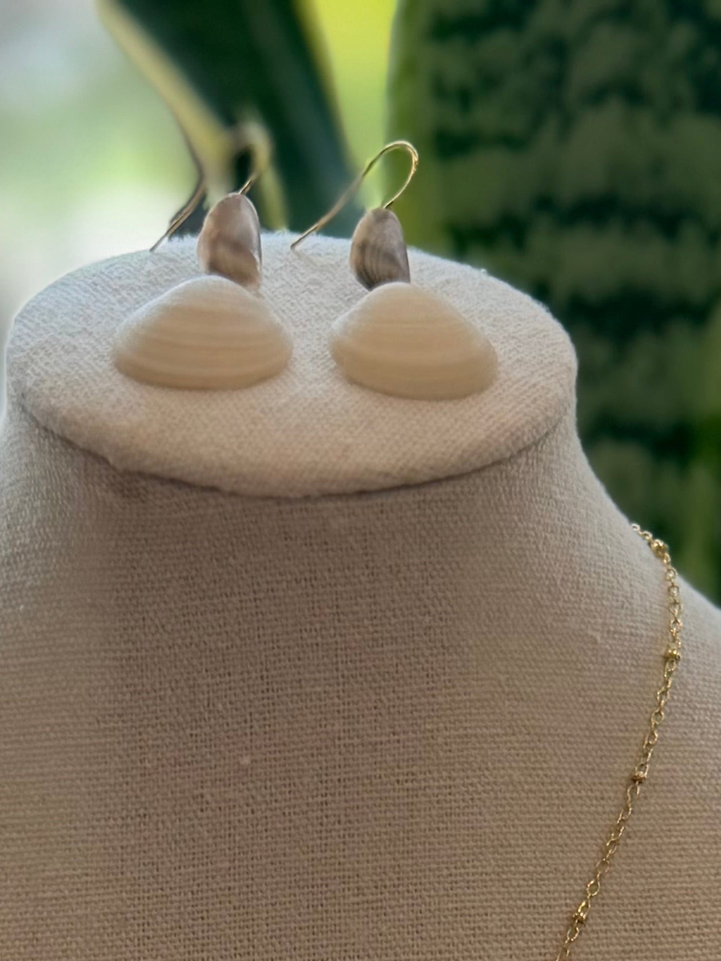 Local Shell Earrings