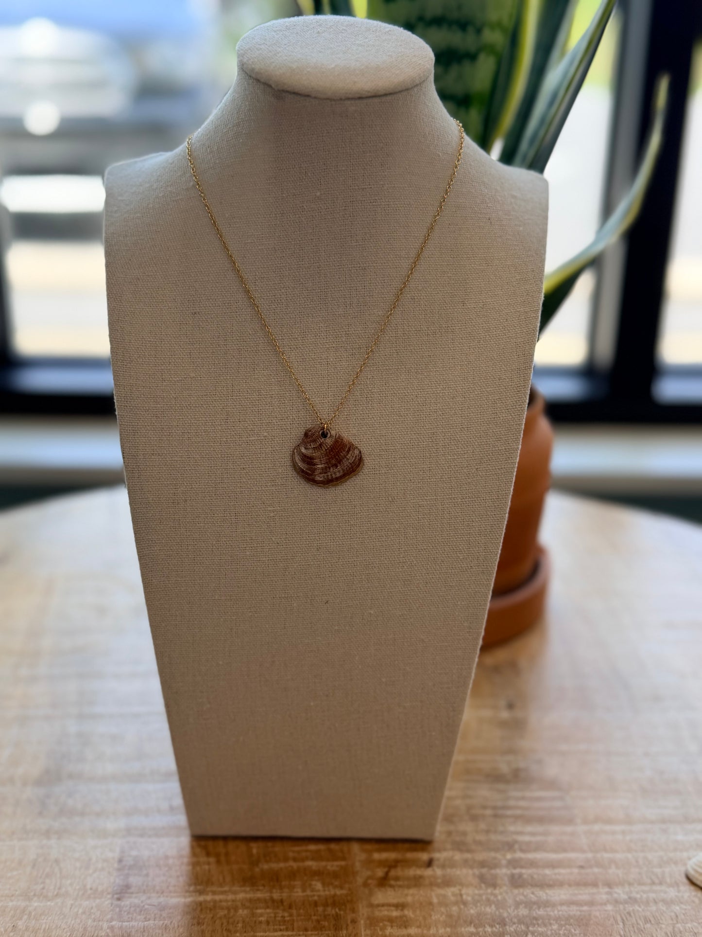 Local Shell Necklace