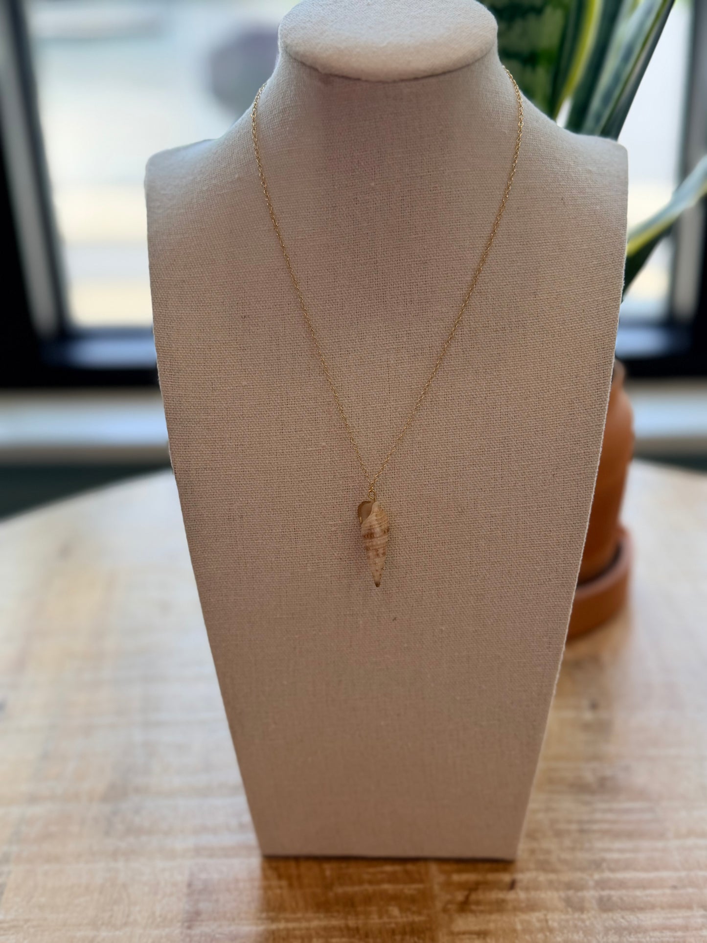 Local Shell Necklace