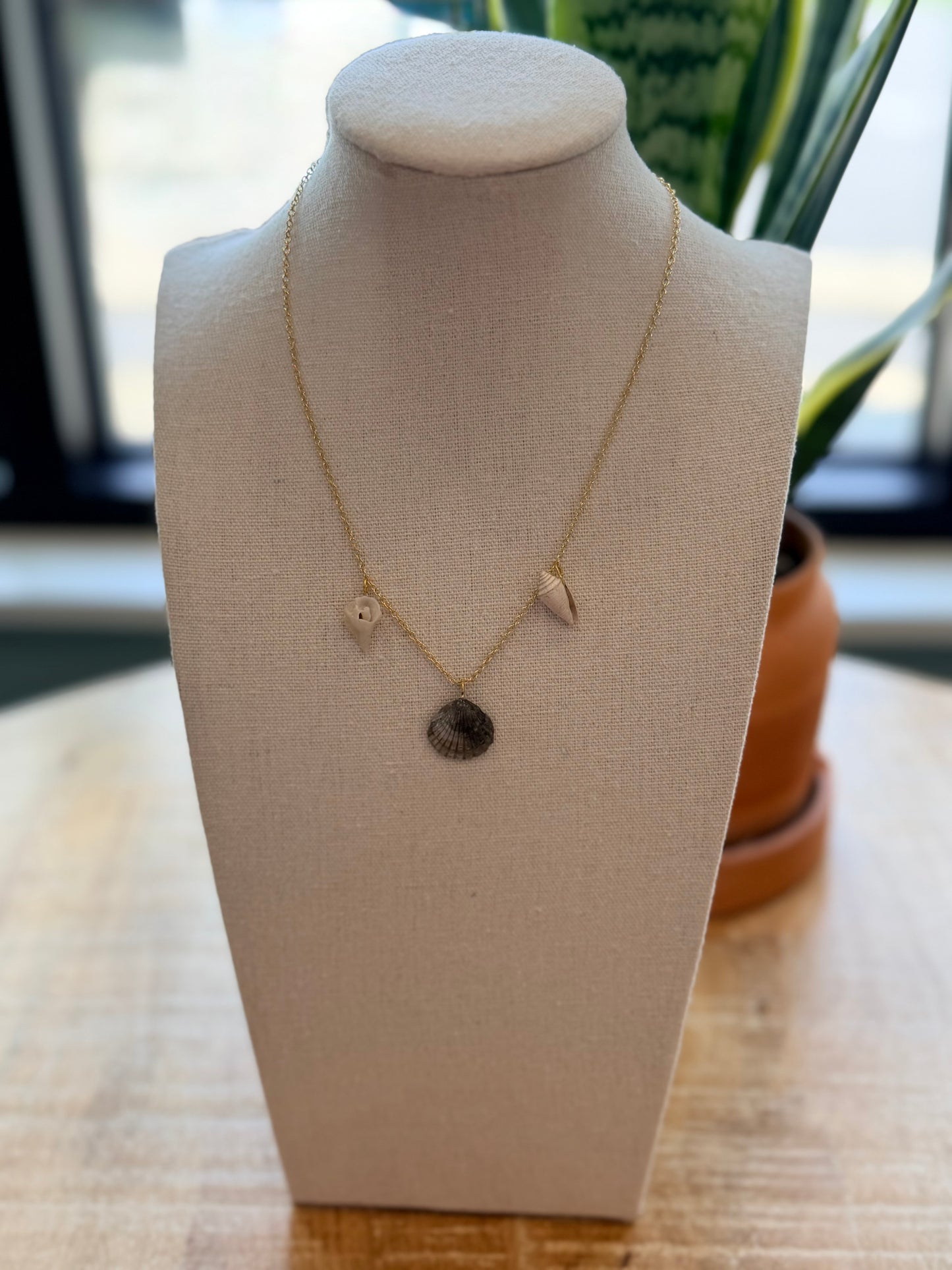 Local Shell Necklace