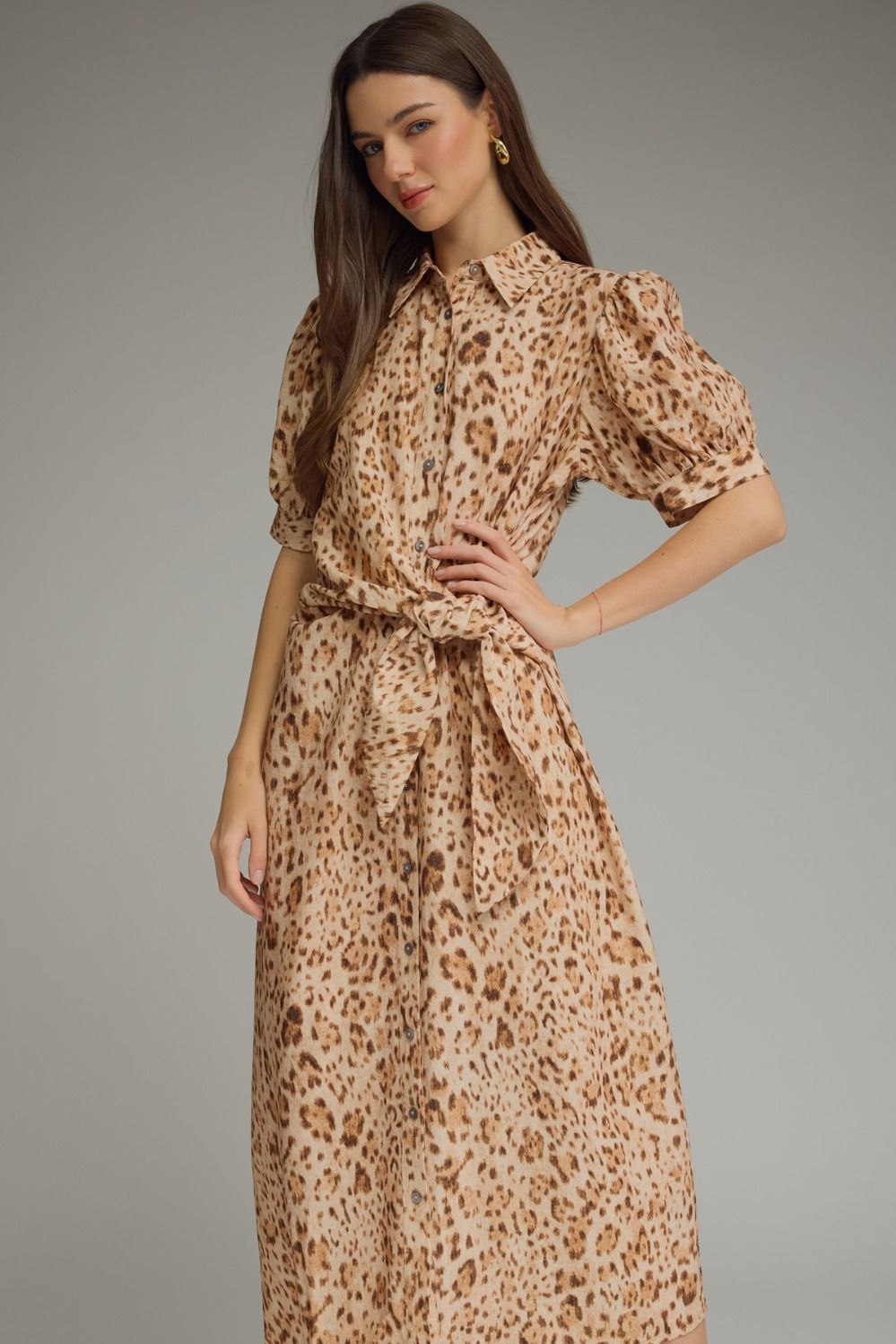 Animal Print Short Sleeve Dress