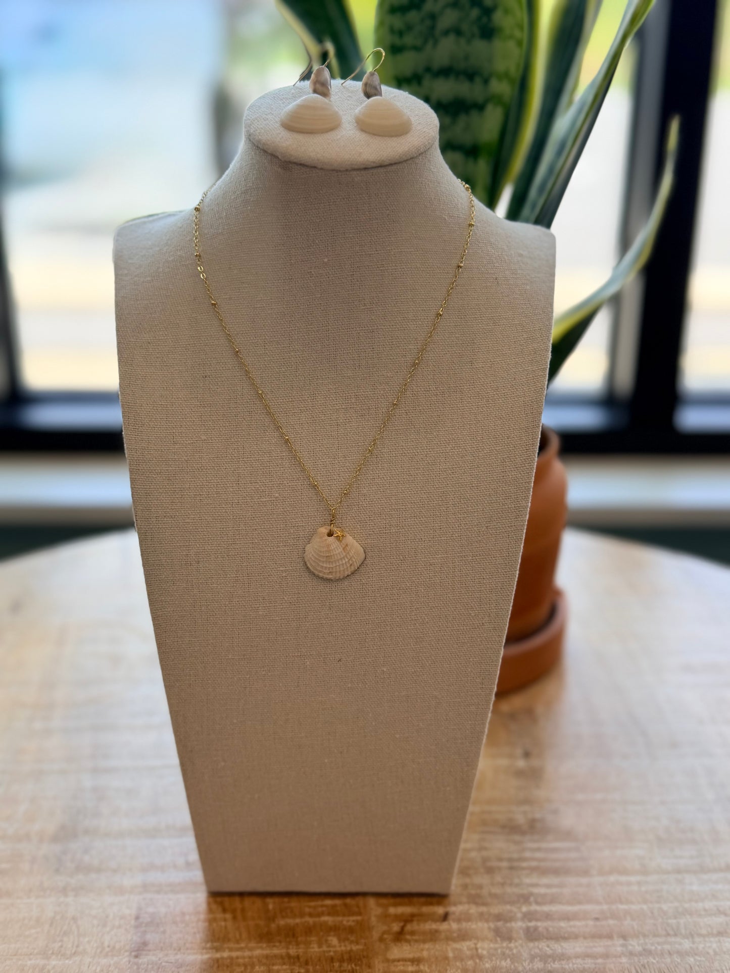 Local Shell Necklace