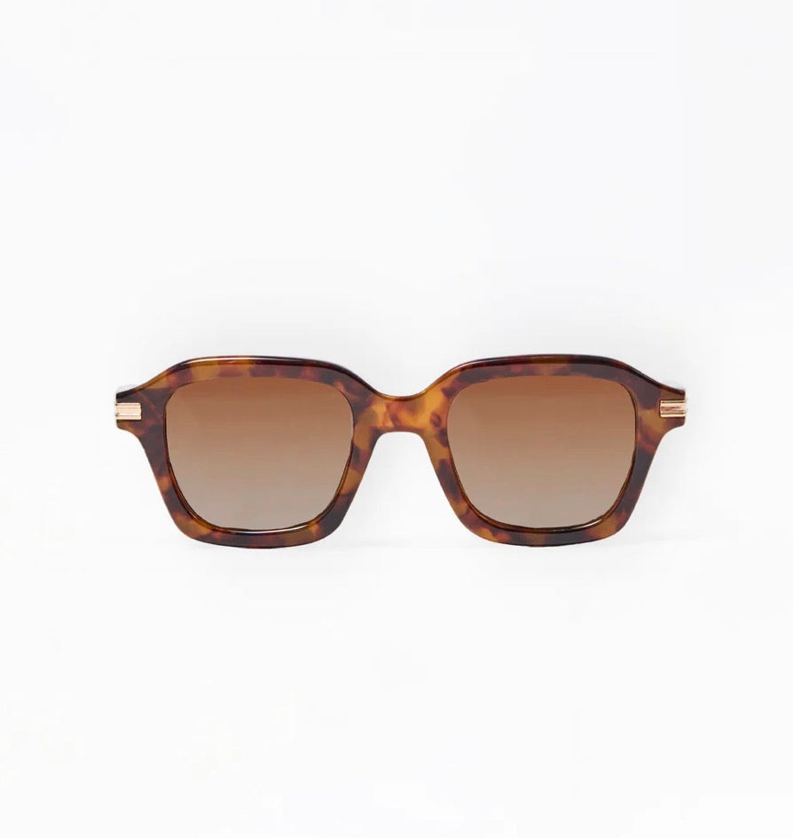 Mara Tortoise Polarized Sunglasses
